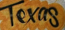 Load image into Gallery viewer, Customizable College Spirit Canvas Pouch - Texas Longhorns