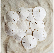 Load image into Gallery viewer, Personalized Airbrush Name Sand Dollar 4"-4 1/2"  Sunset Scene Christmas Ornament Gift Beach Decor