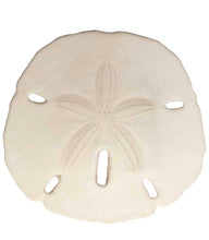 Load image into Gallery viewer, Personalized Airbrush Name Sand Dollar 4"-4 1/2"  Sunset Scene Christmas Ornament Gift Beach Decor