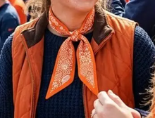 Load image into Gallery viewer, Sam Houston State Bearkats - Reversible Skinny Scarf
